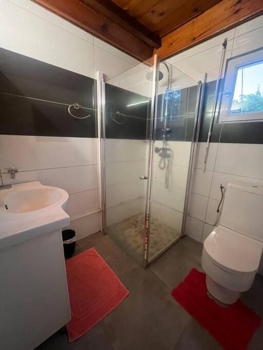 Le Tournesol By Egl Immo Apartment Saint-Pierre Ngoại thất bức ảnh